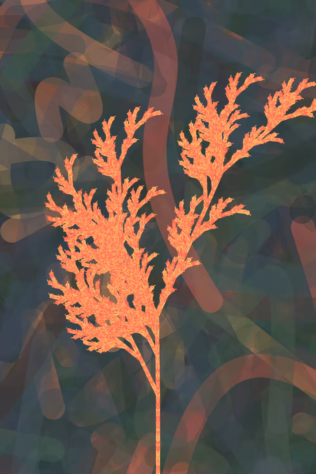 Burned Ash Fern