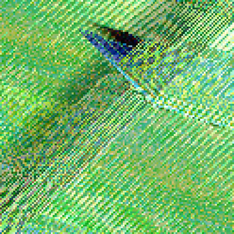 Grid, Rules and Cells #205