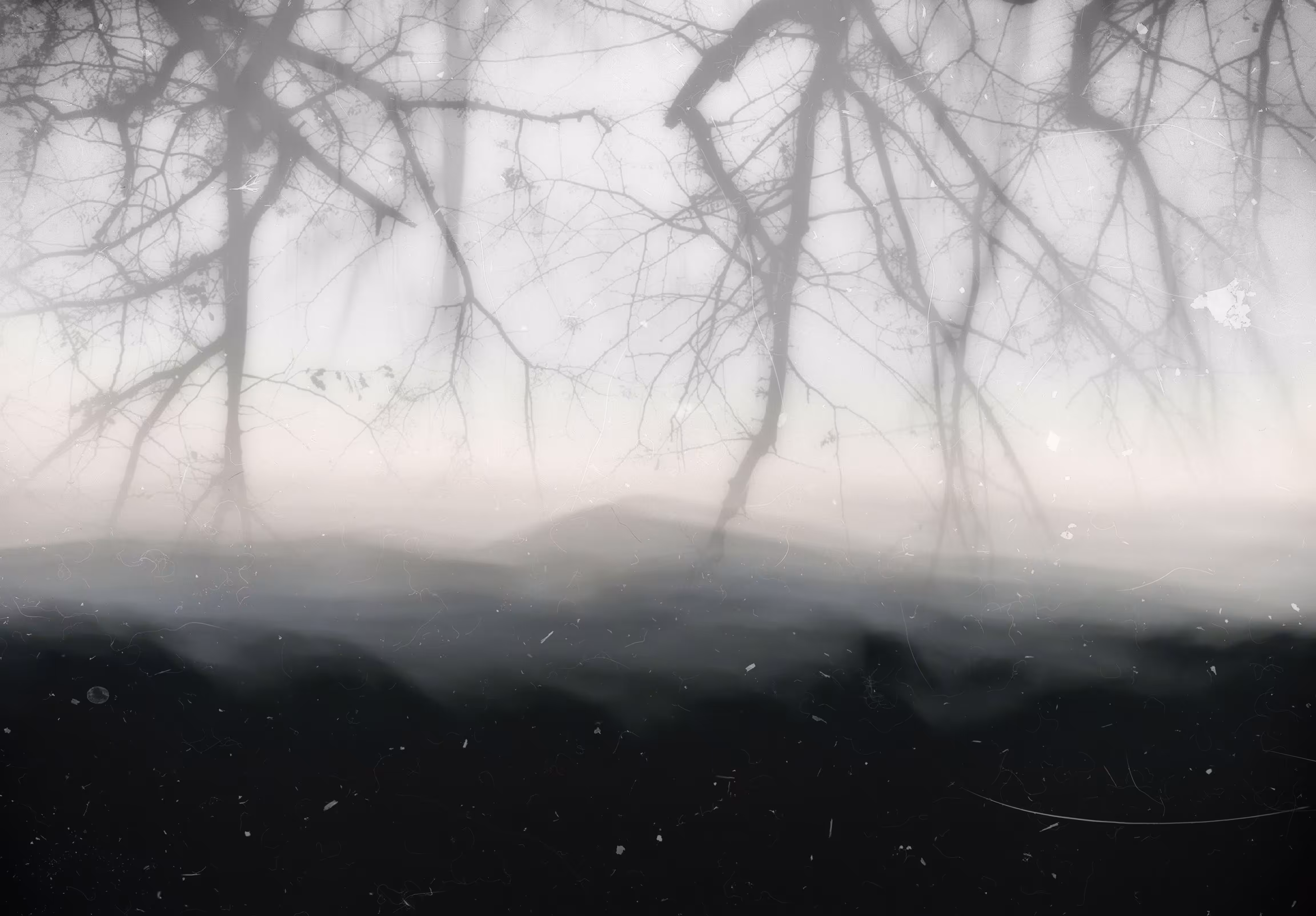 The Valley of silence