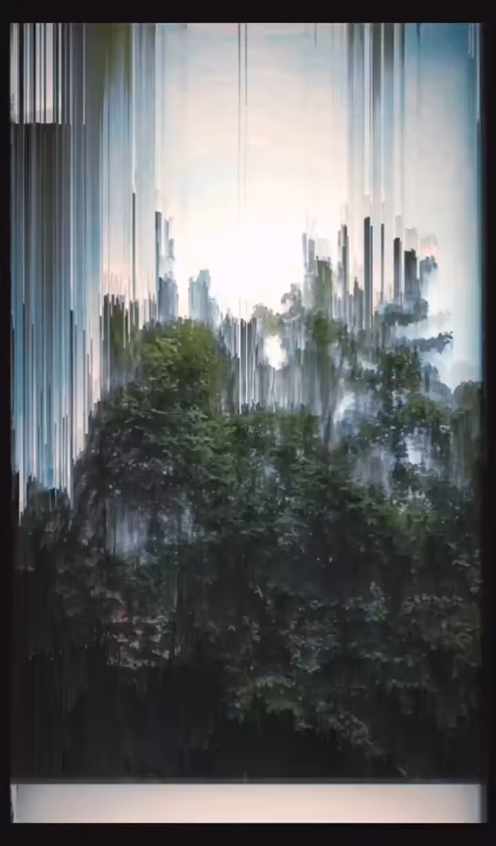 Glitched forest