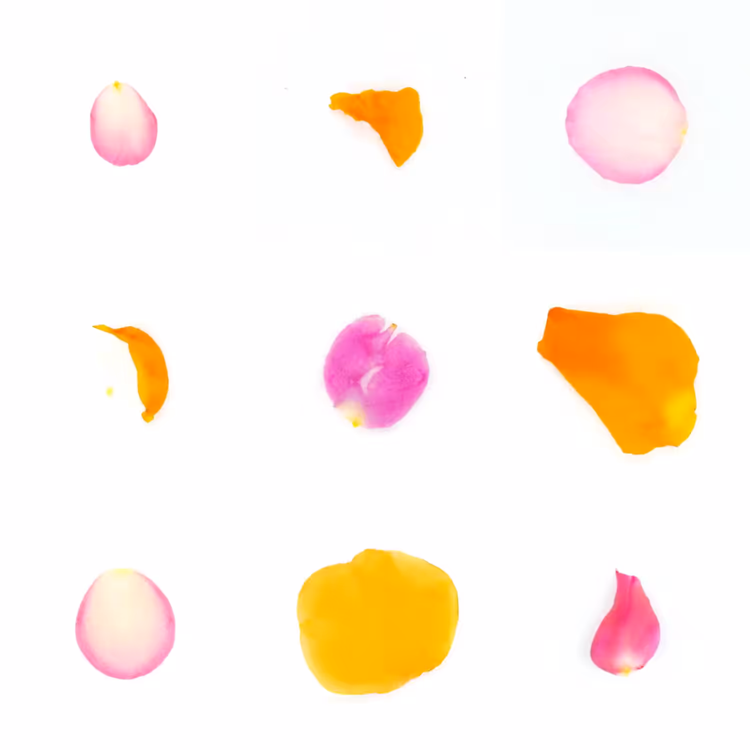 Infinite Petals 3x3#3609