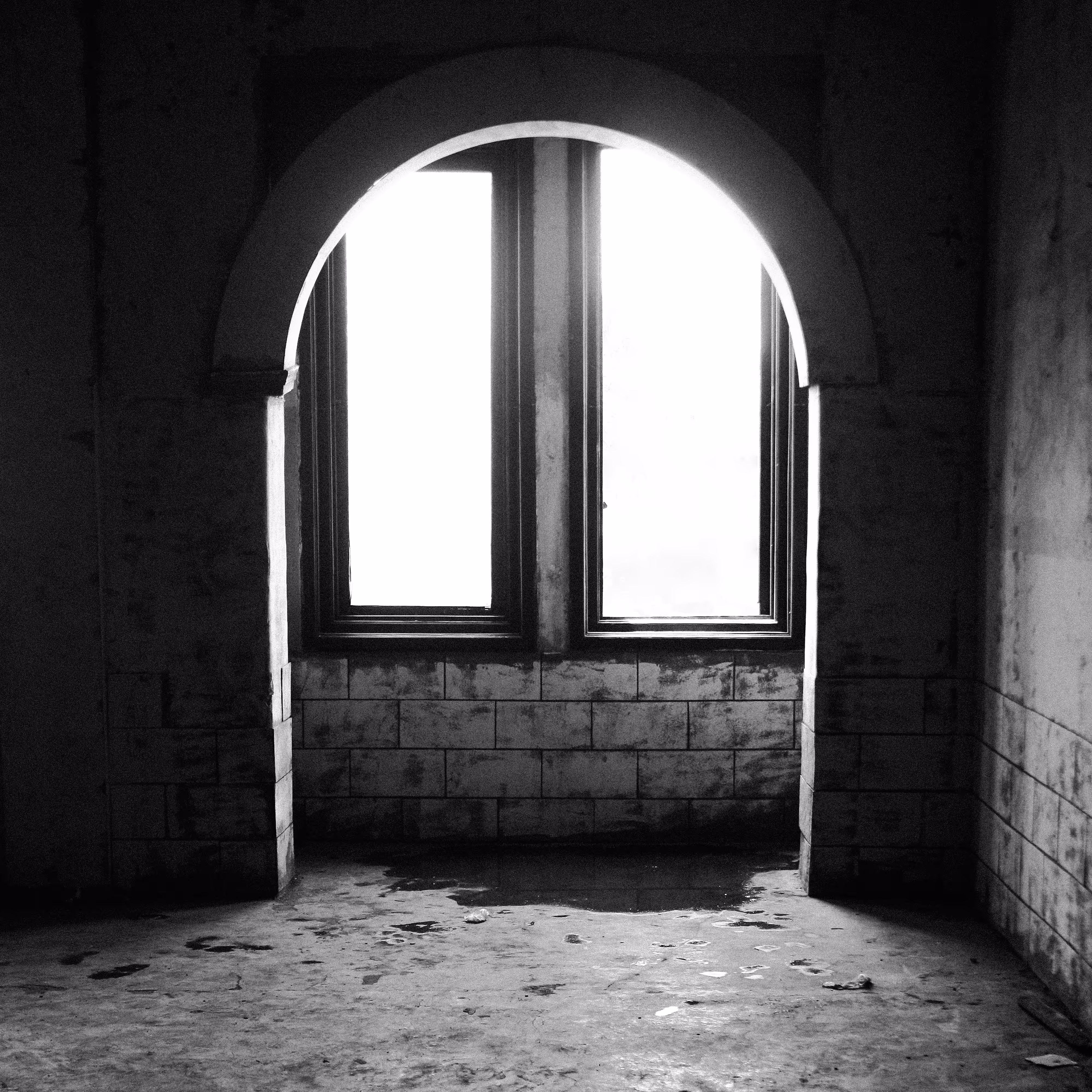 the window.