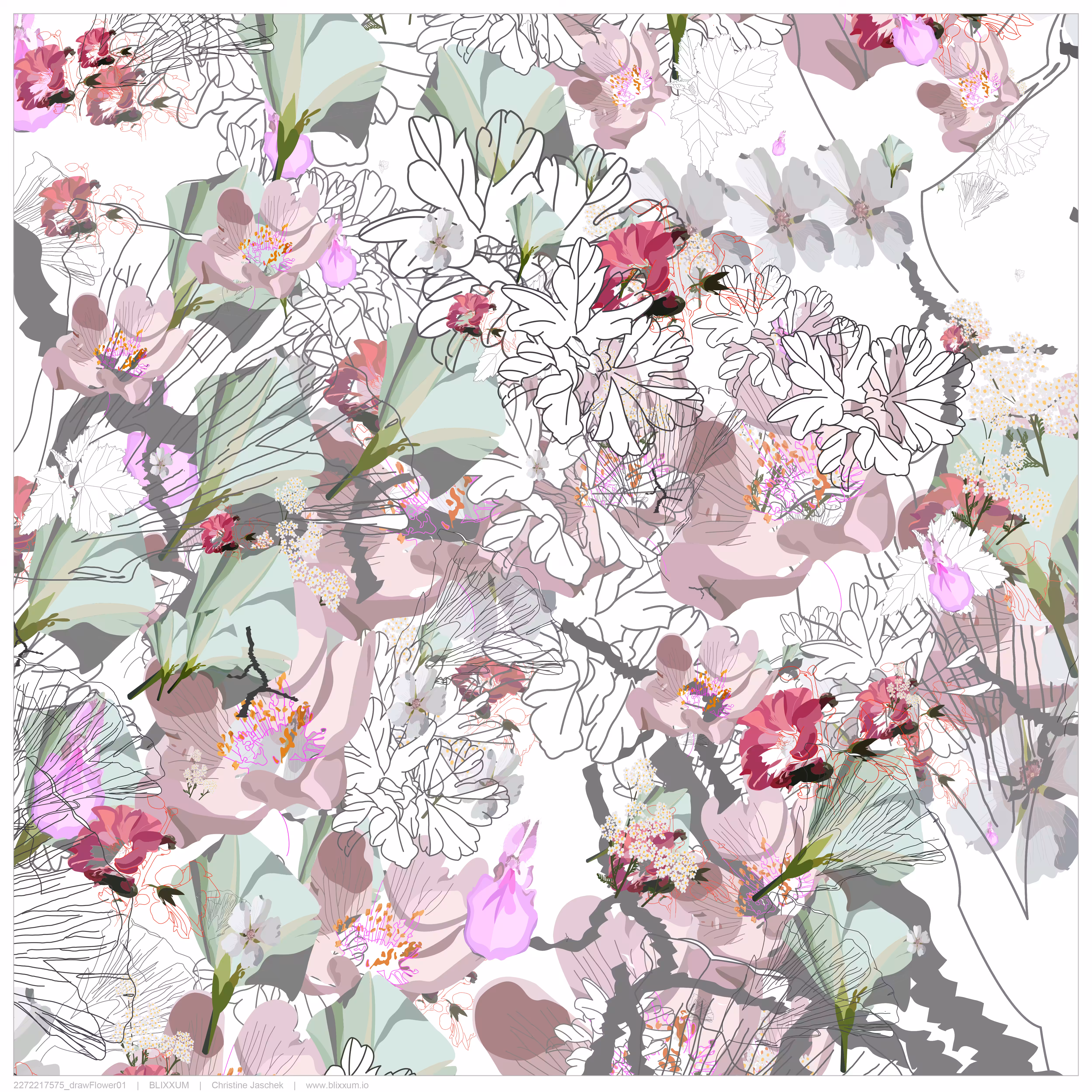 draw Flower01