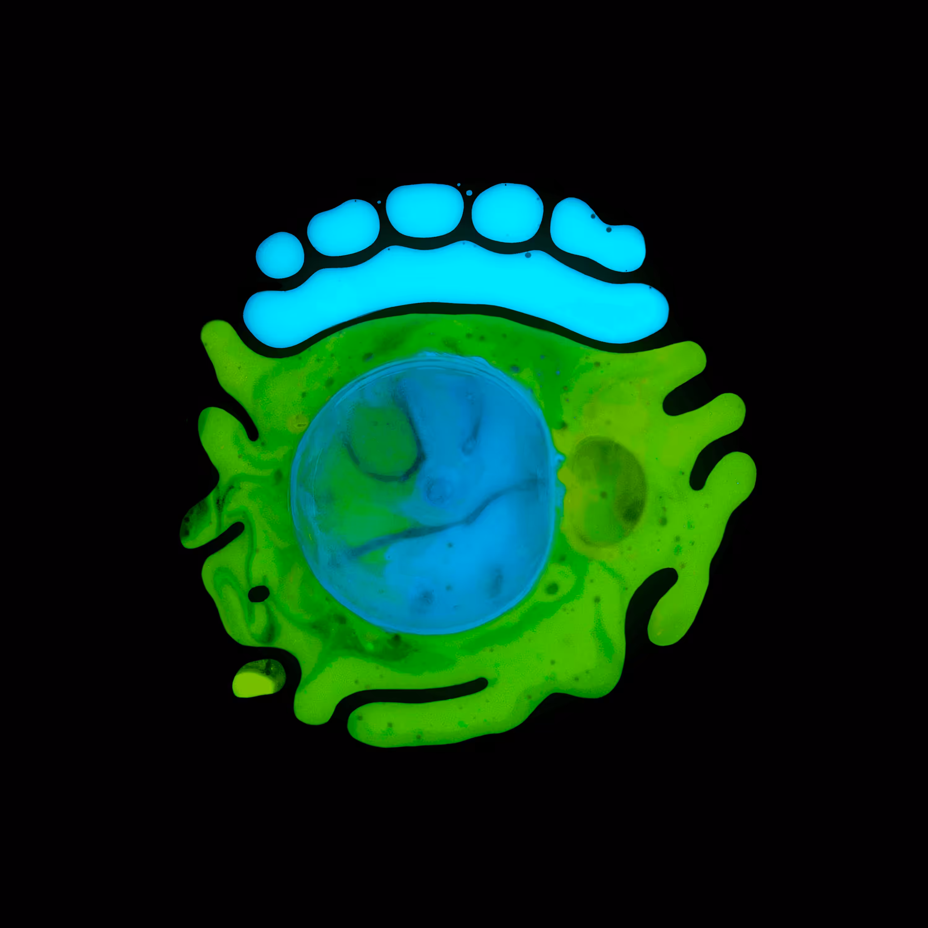 Haematopoiesis #165