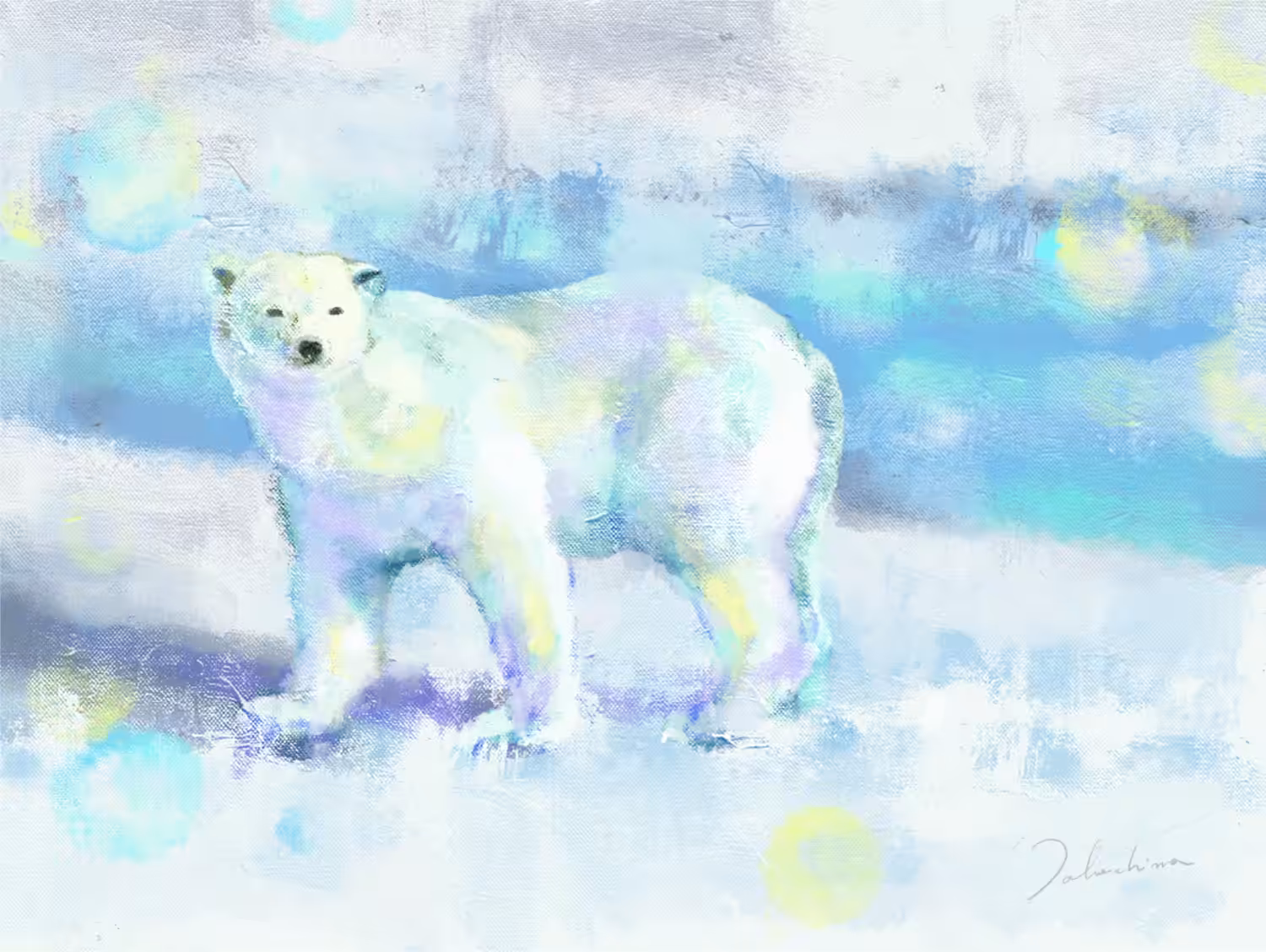 polar bear (Ursus maritimus)