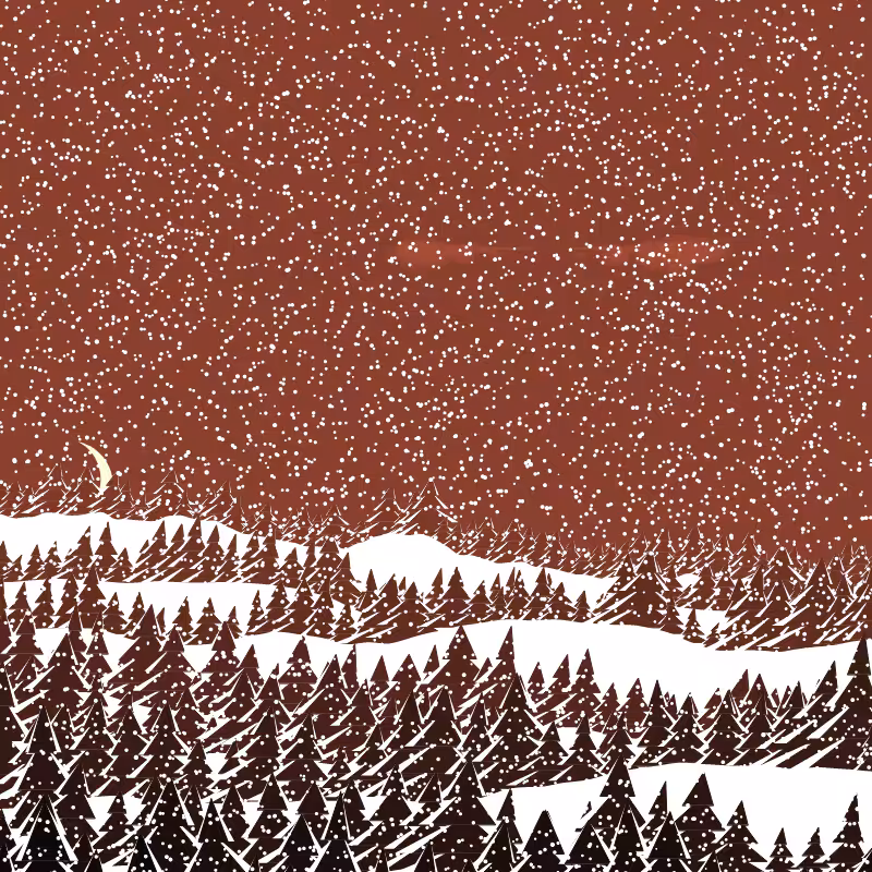 Winterland #83