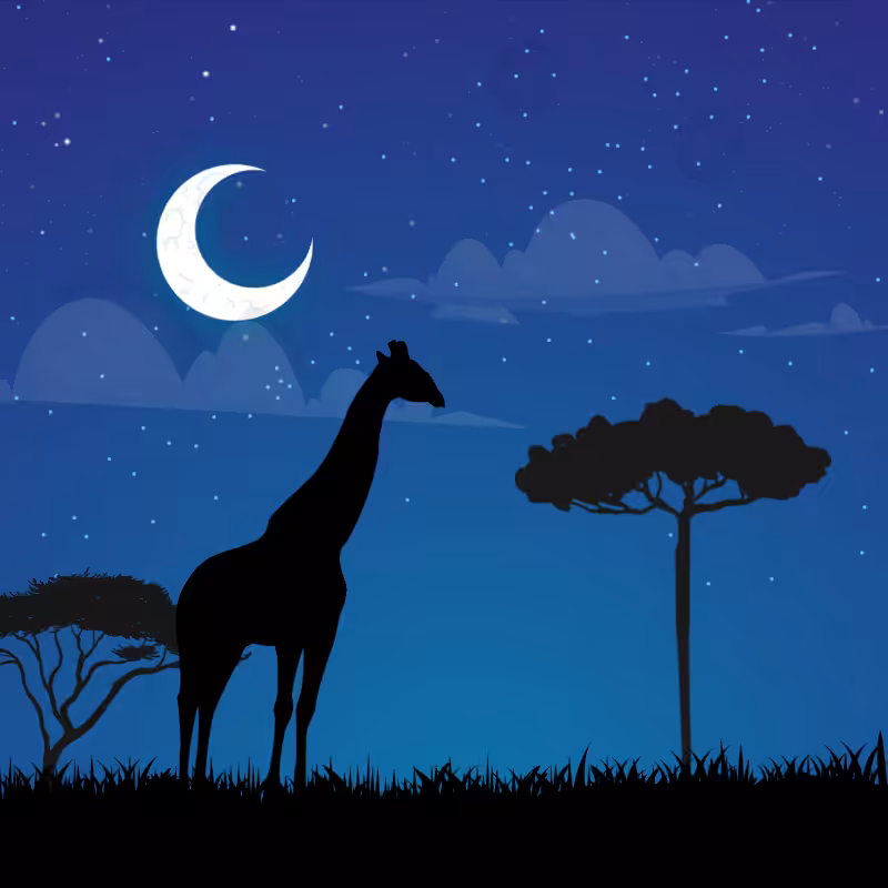 We Care... Giraffe #7