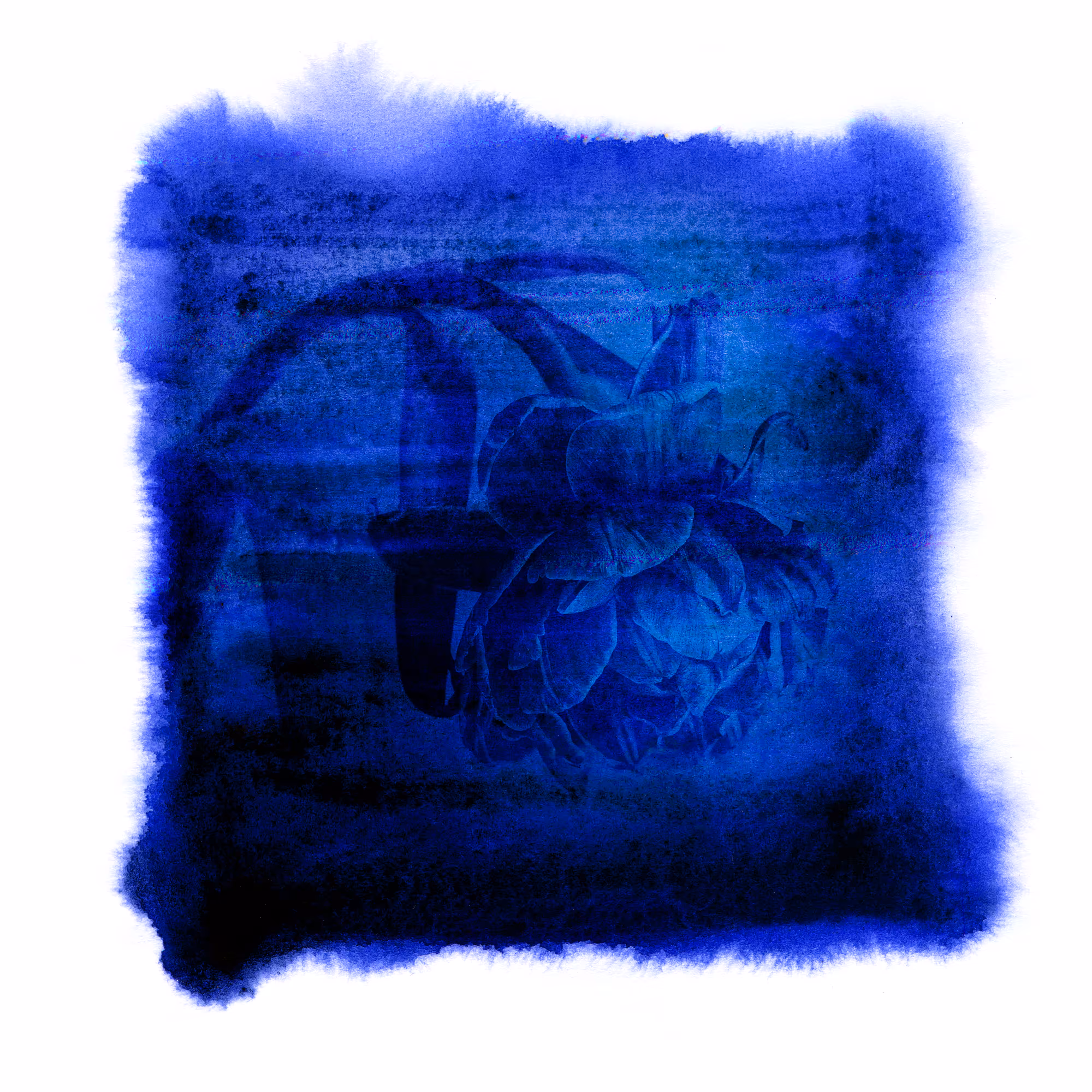 Blues garden #06