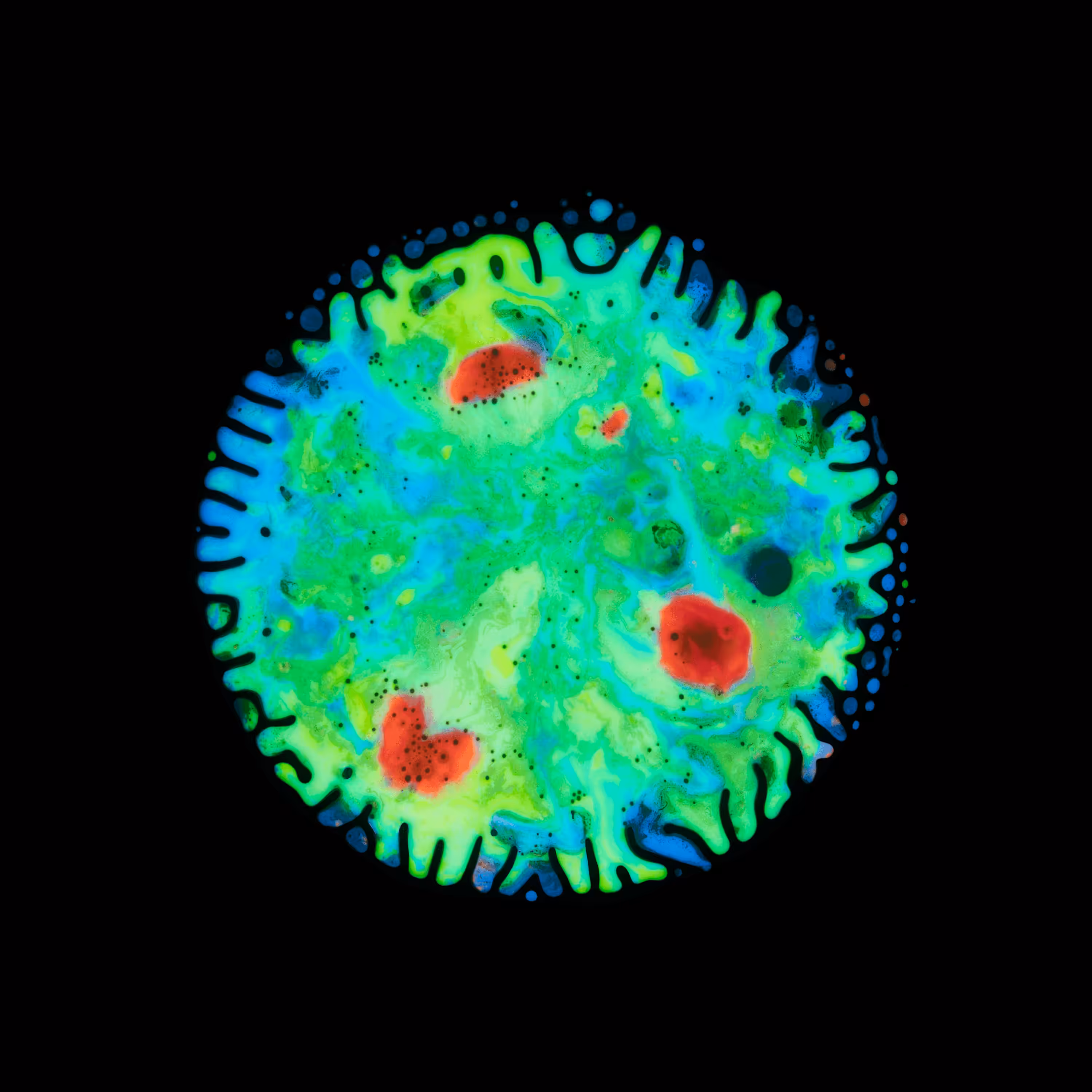 Haematopoiesis #54
