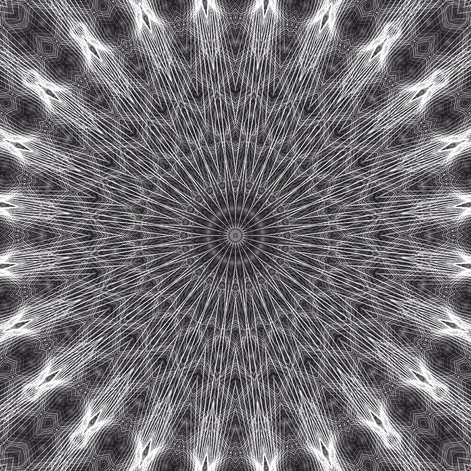 infinite orbital 51