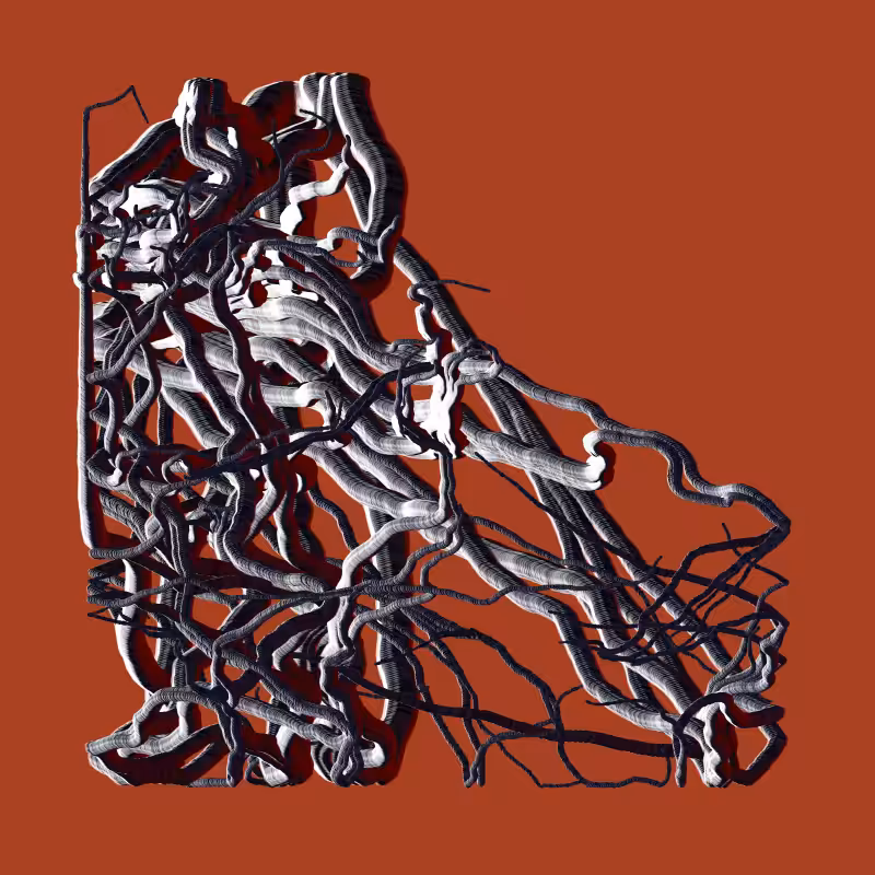Root #40