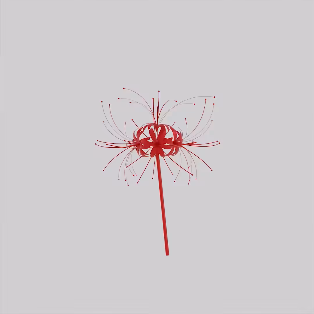 𝕝𝕠𝕧𝕖