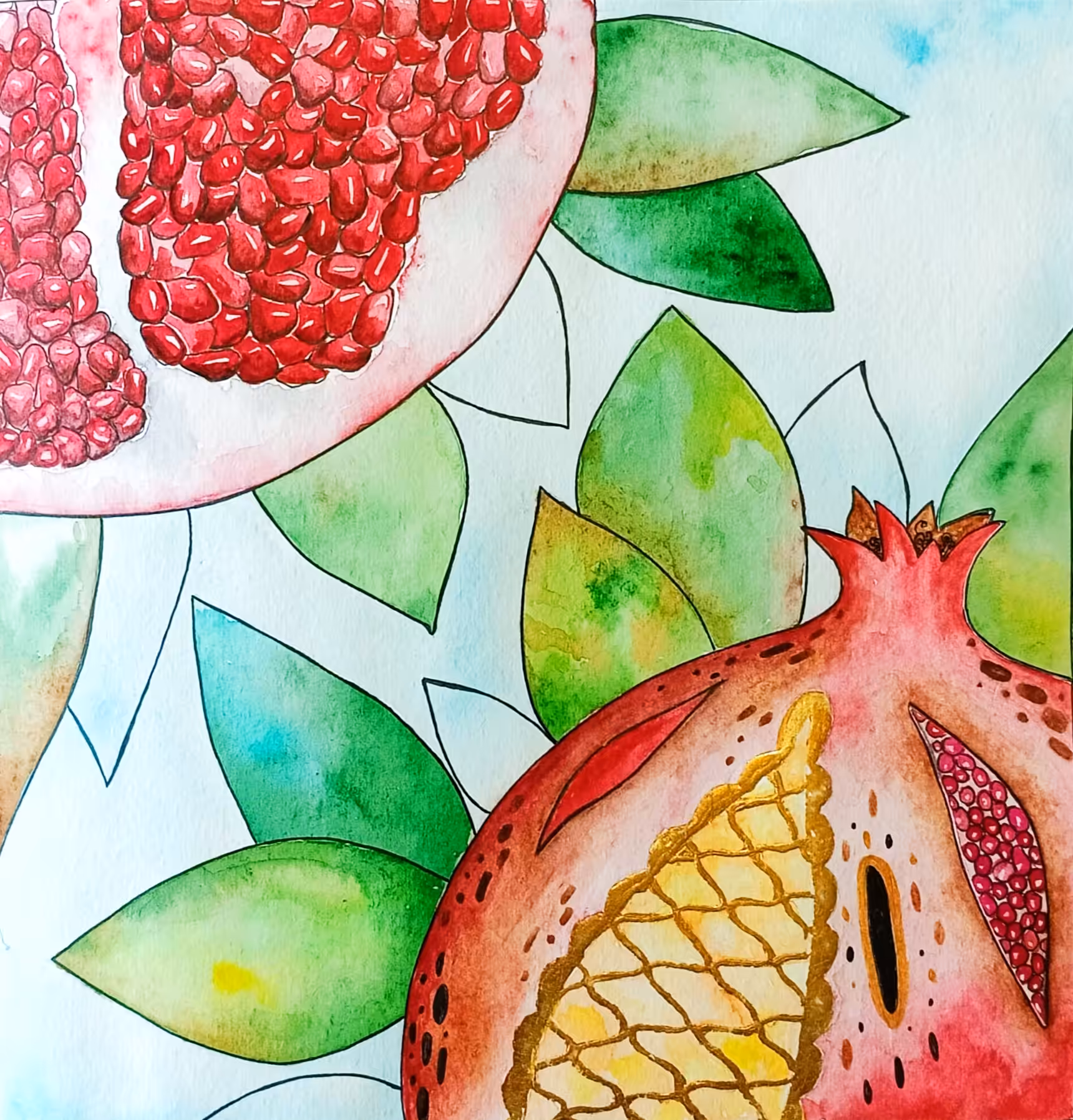 Pomegranate