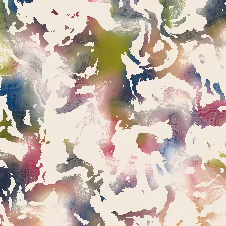 Untitled #24