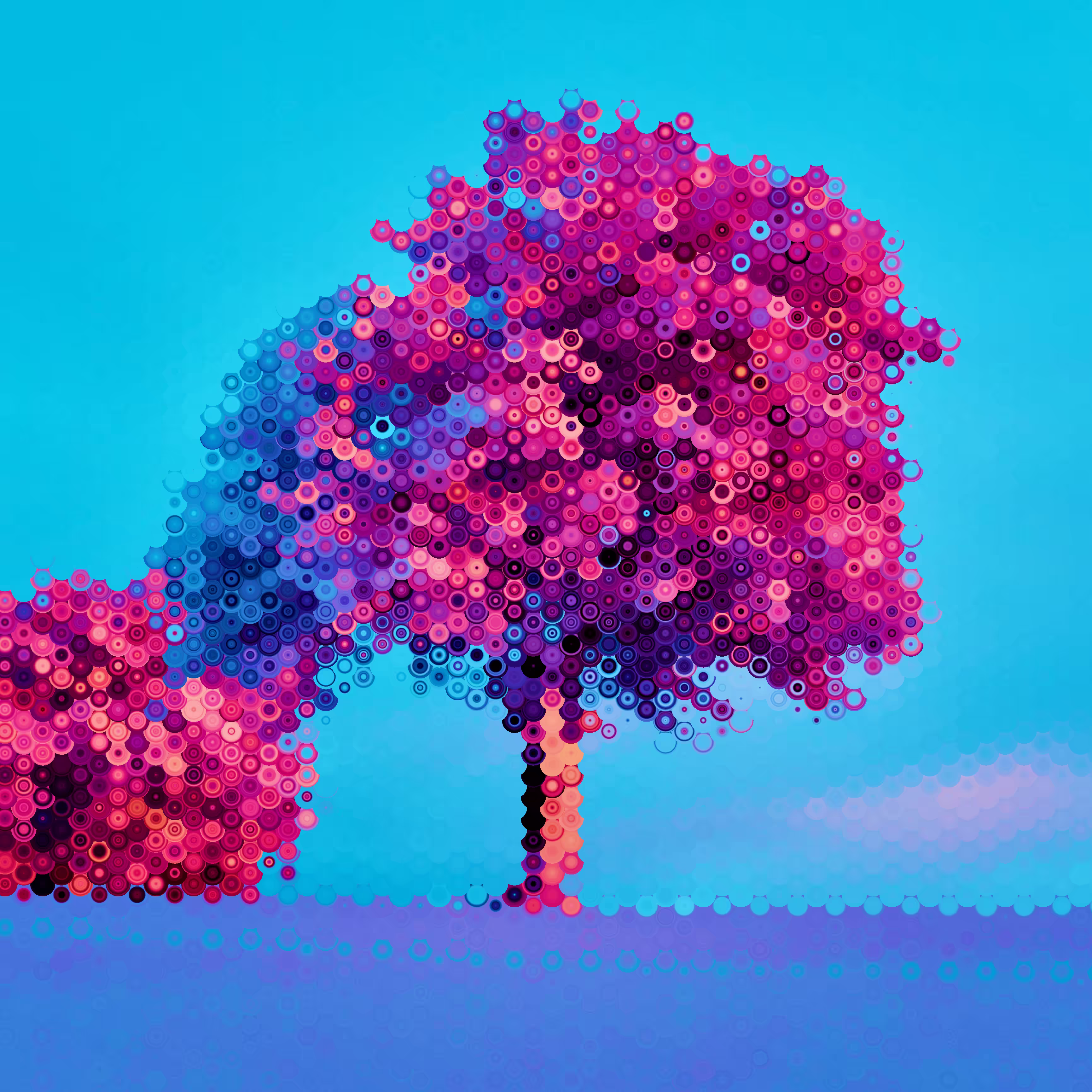 Hex Cherry
