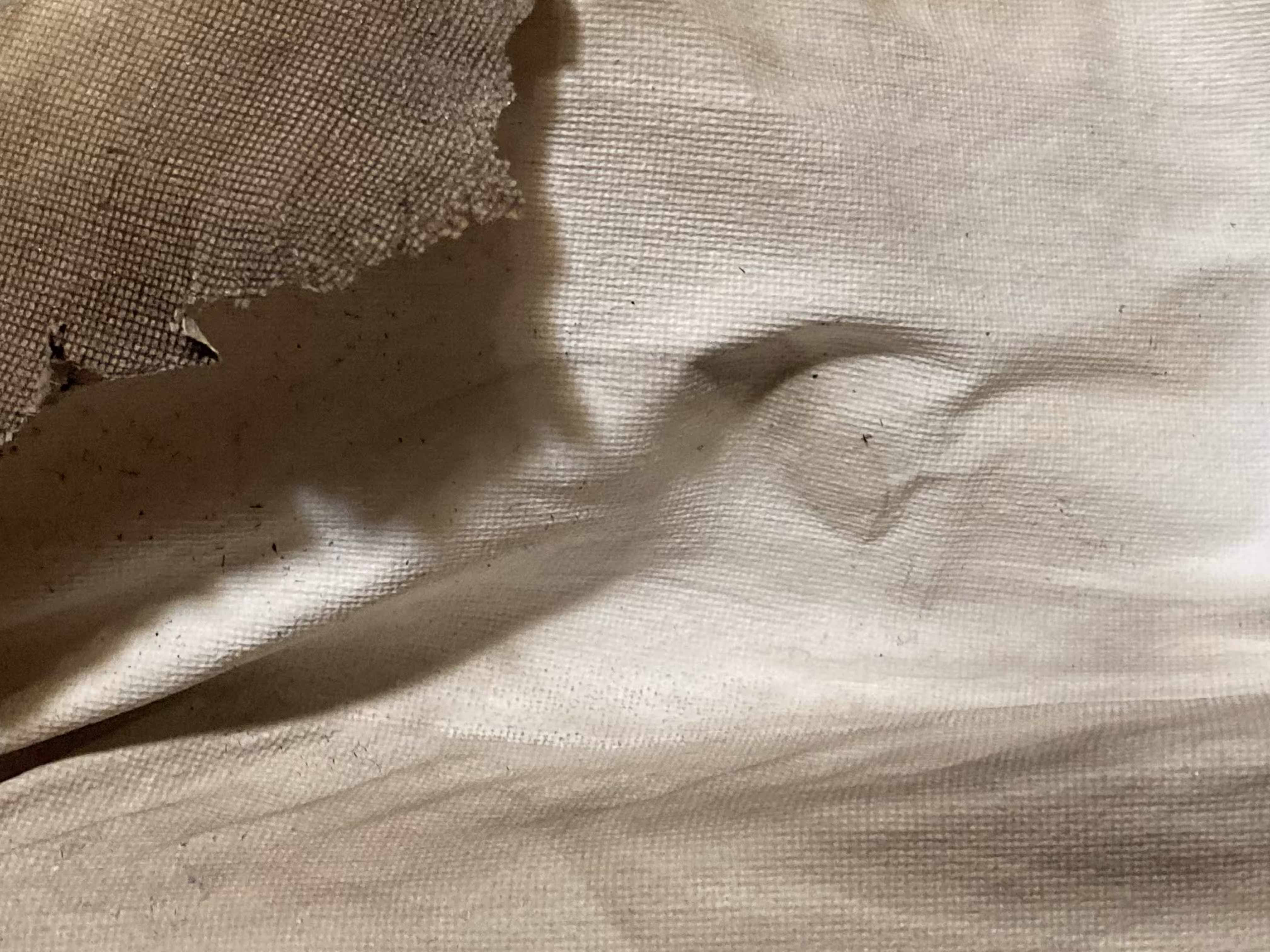 The Canvas