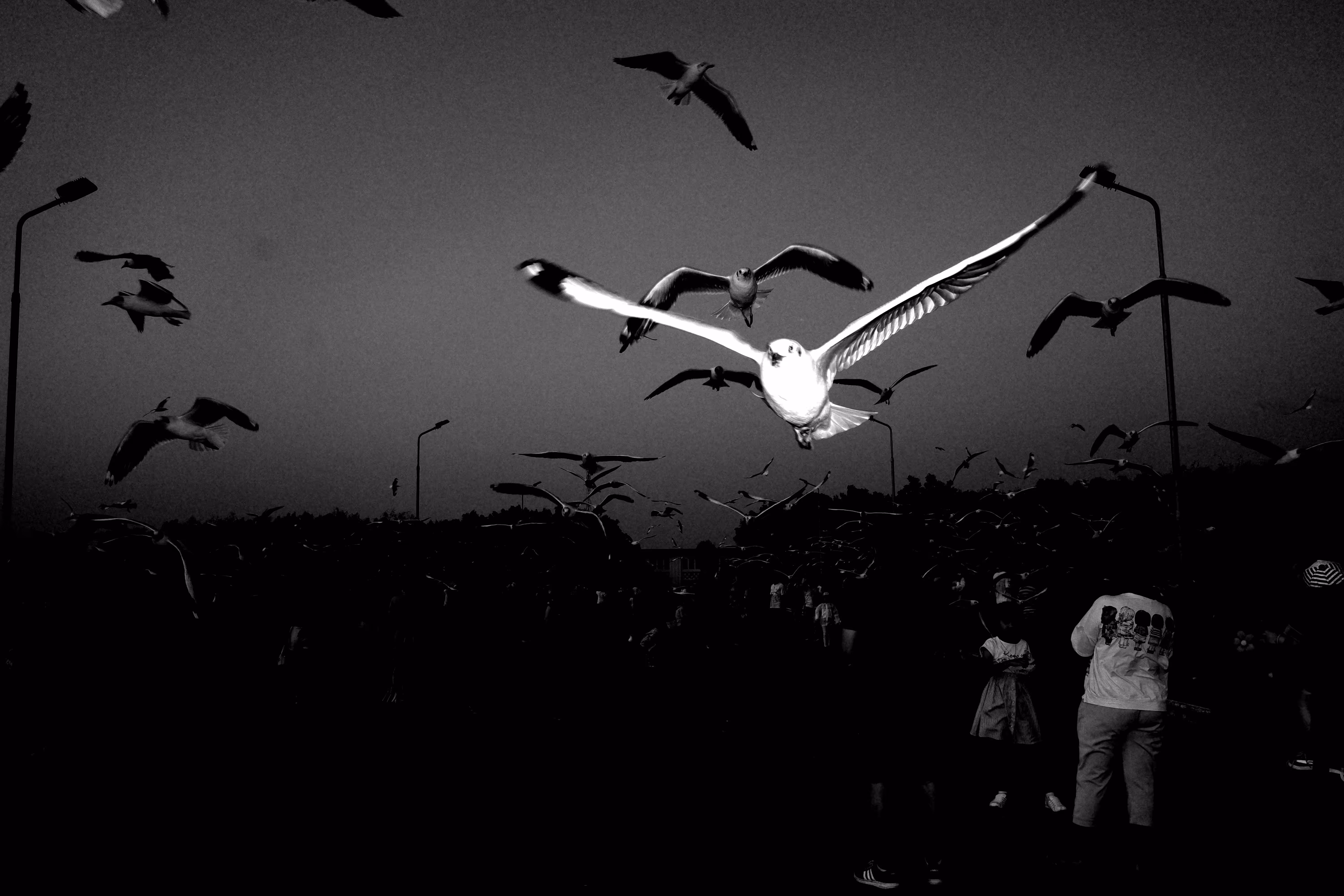 Time to fly