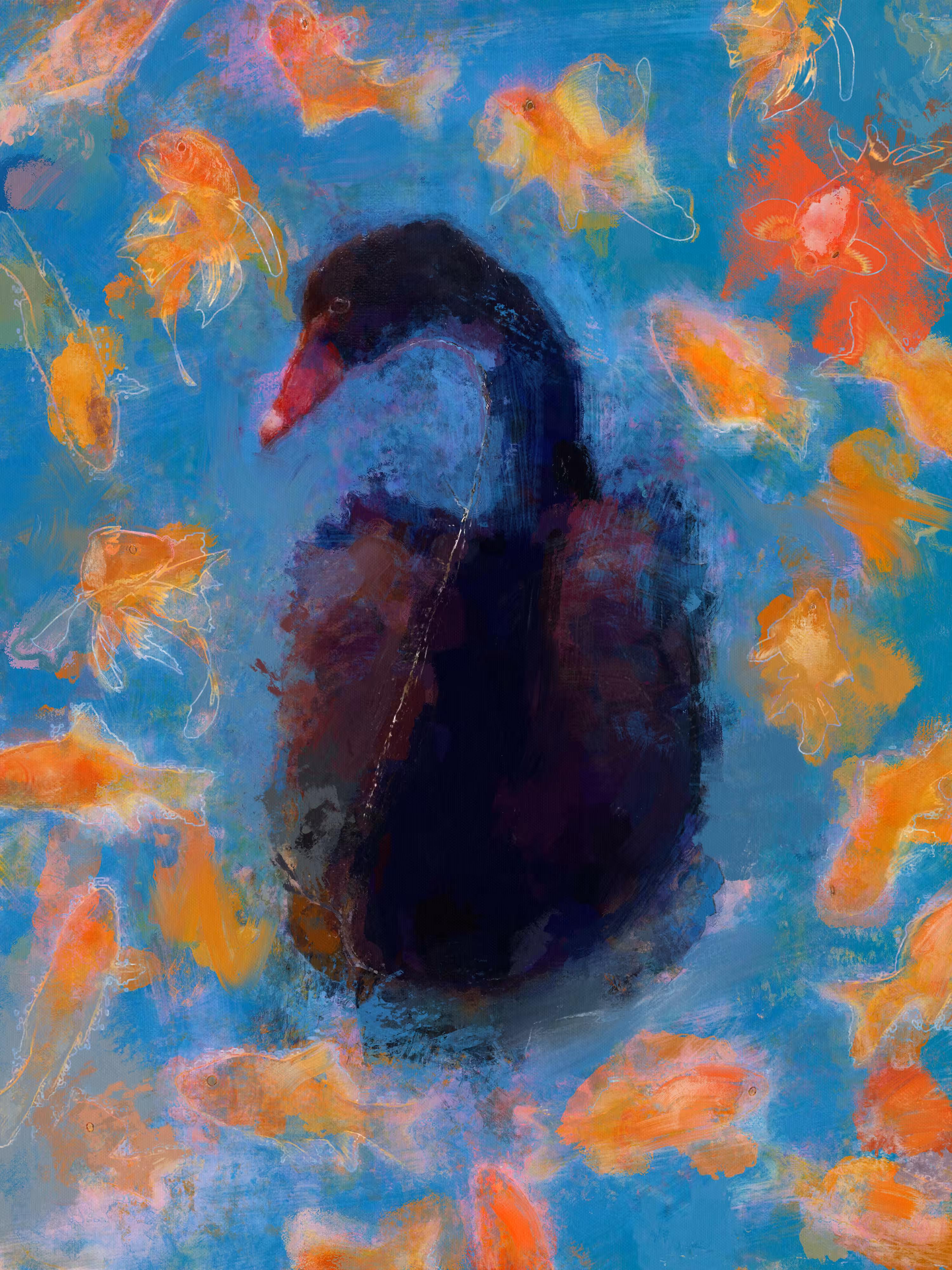 The Black Swan and The Gold Fish