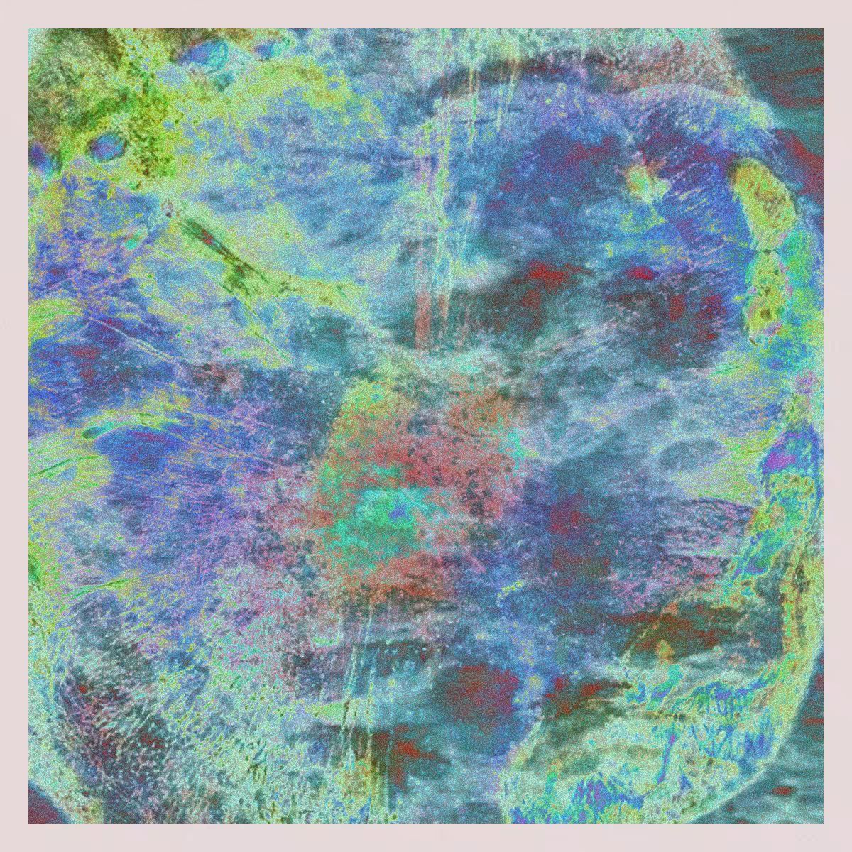 orGANics #38