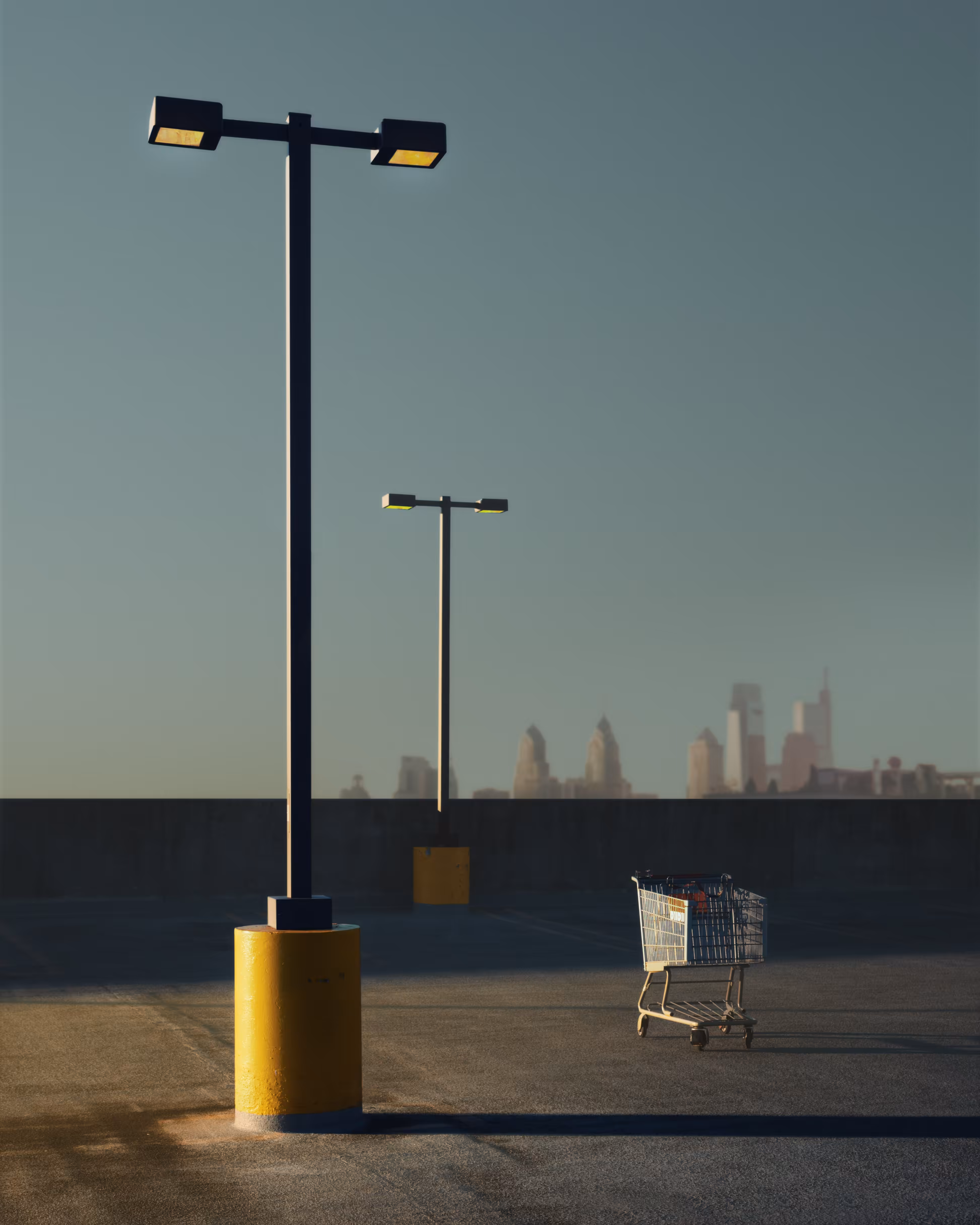 Shopping Cart