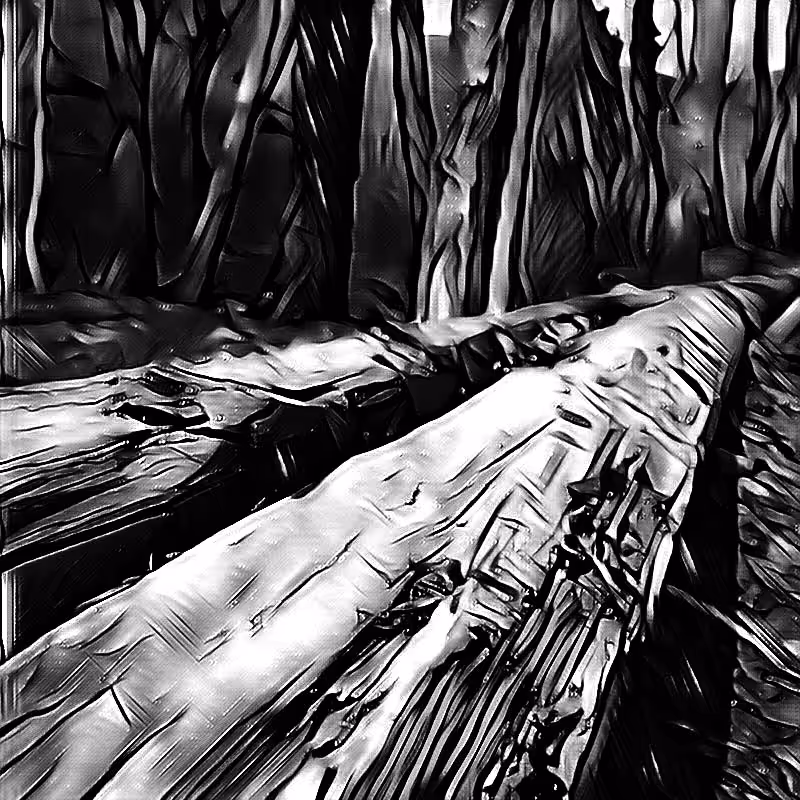 nature00
