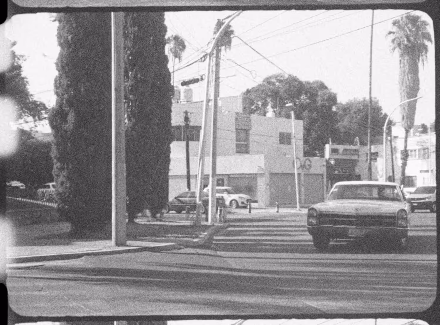 VAMPIRE BLUES (BOLEX 16MM ORIGINAL TEST SHOTS)