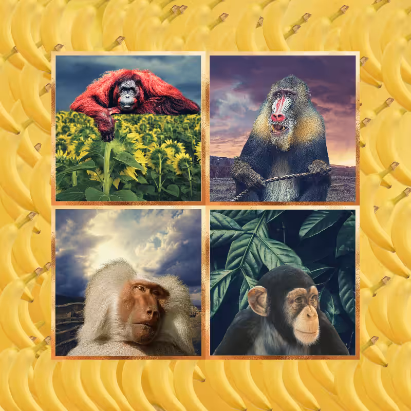 Banana legends #52