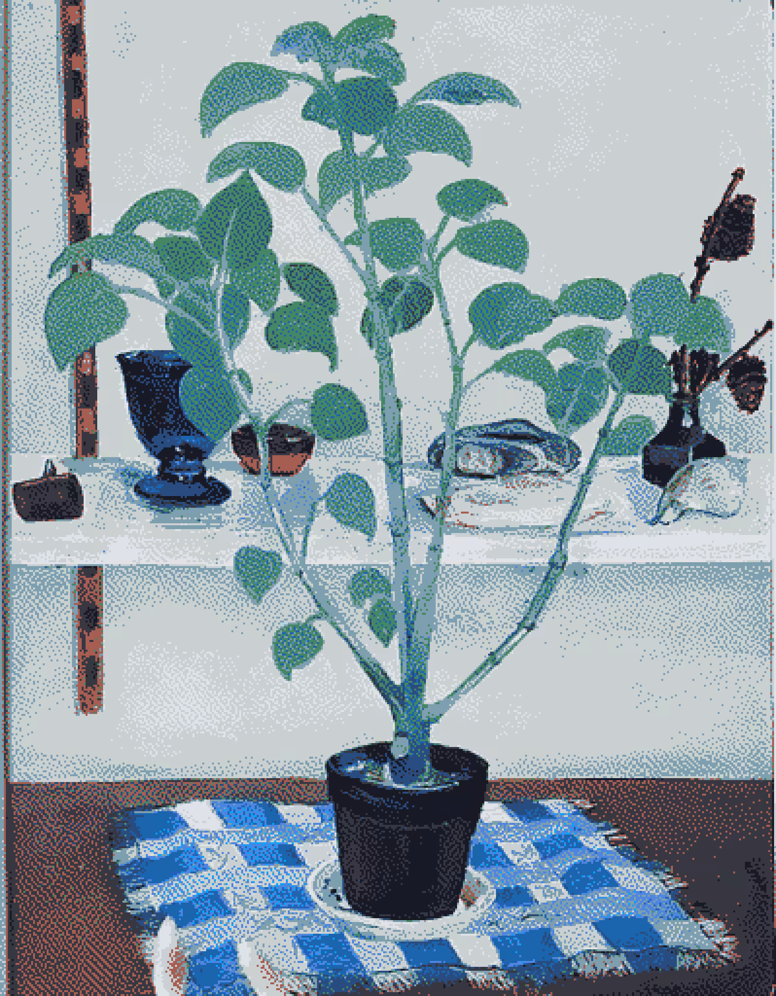 Another Houseplant