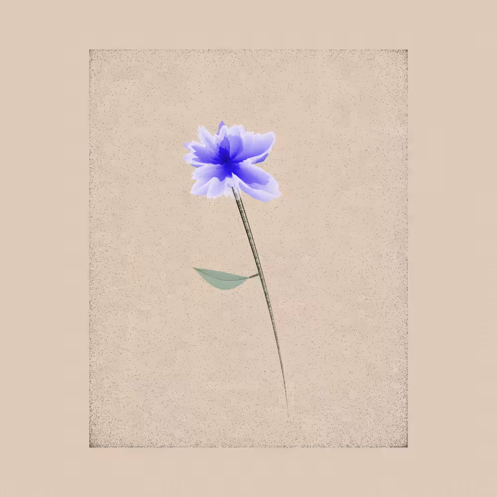 Magnolia #66