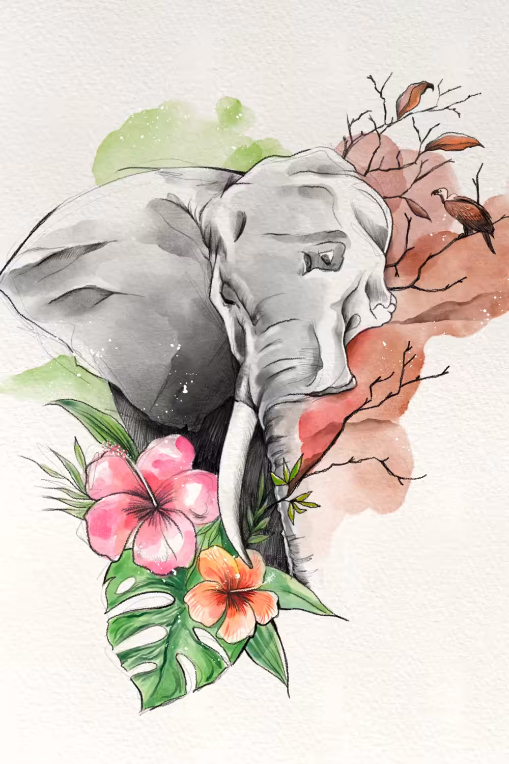 African Elephant Species Now Endangered!