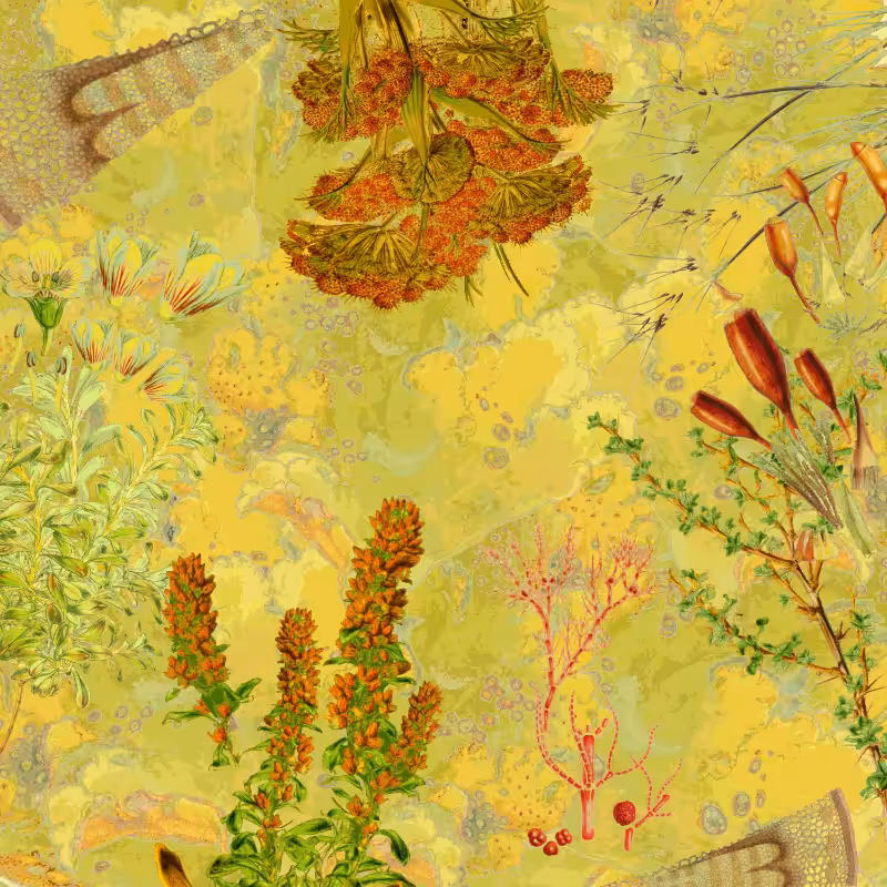 future flora from Antarctica's past #26