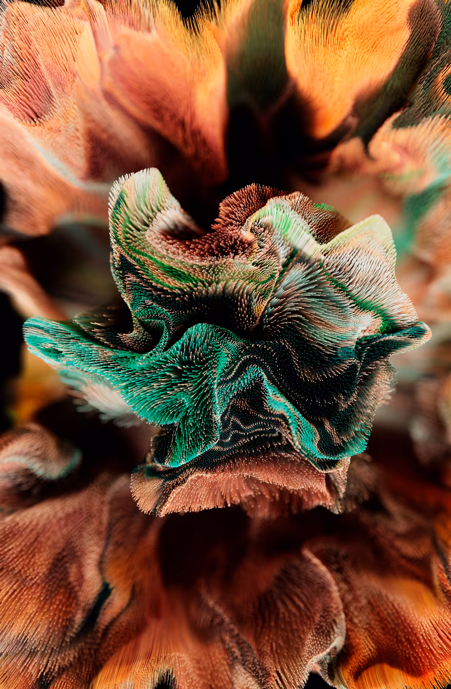 Desert Flower I
