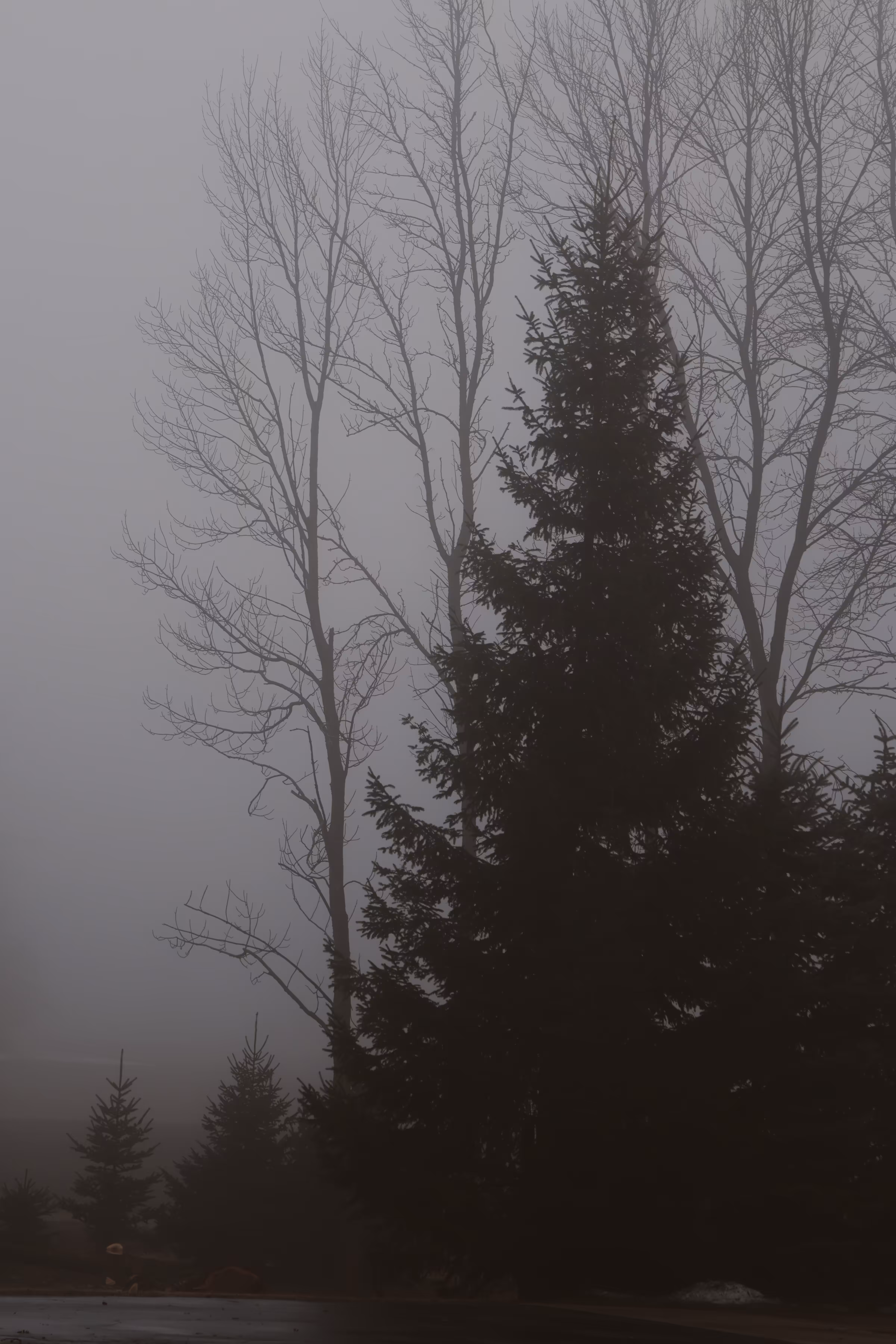 _exhale