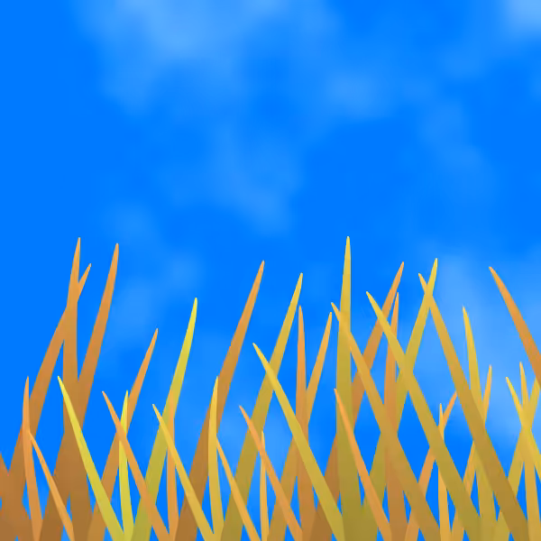 Fields of Ukraine #10