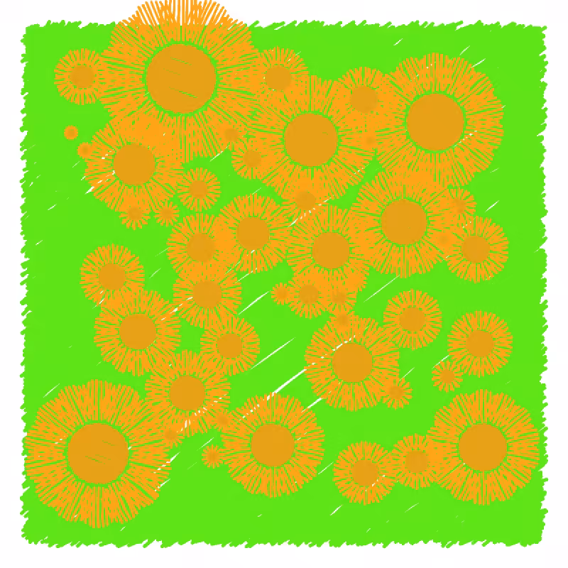wildflower #31