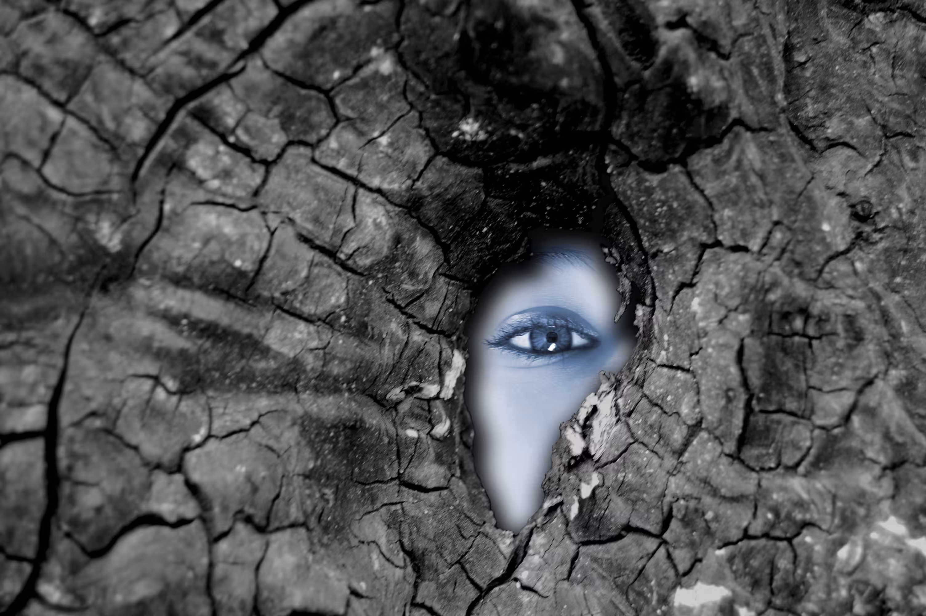 Photo Editing #0011
