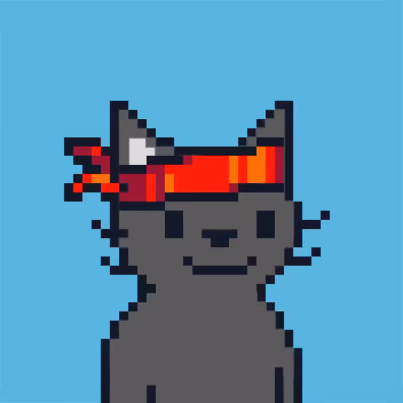 MEOWPIX #50