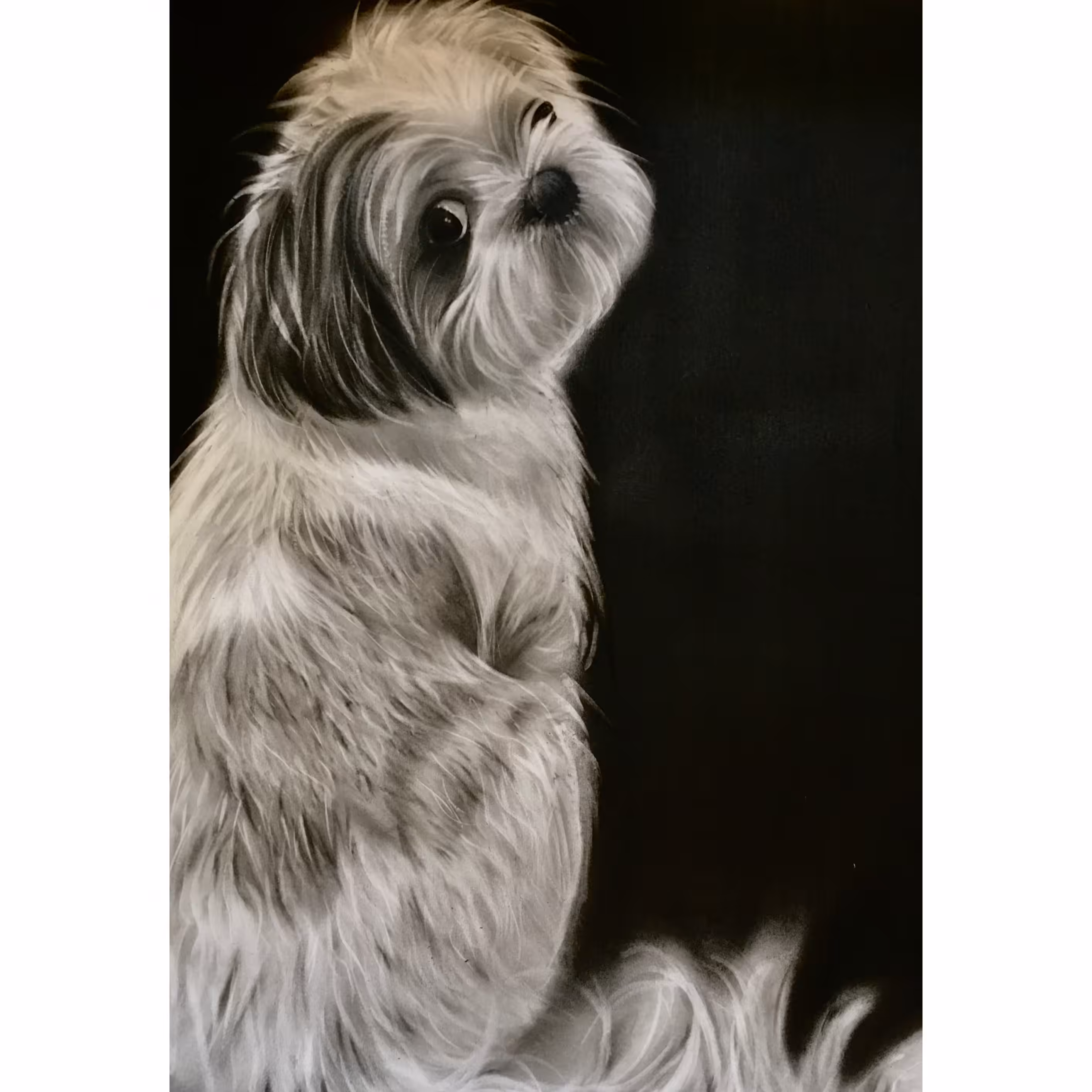 Mishka Gaze