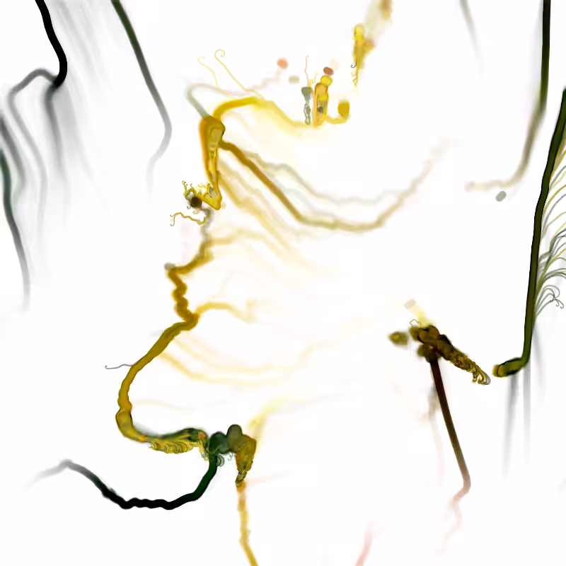 Hypericum #109