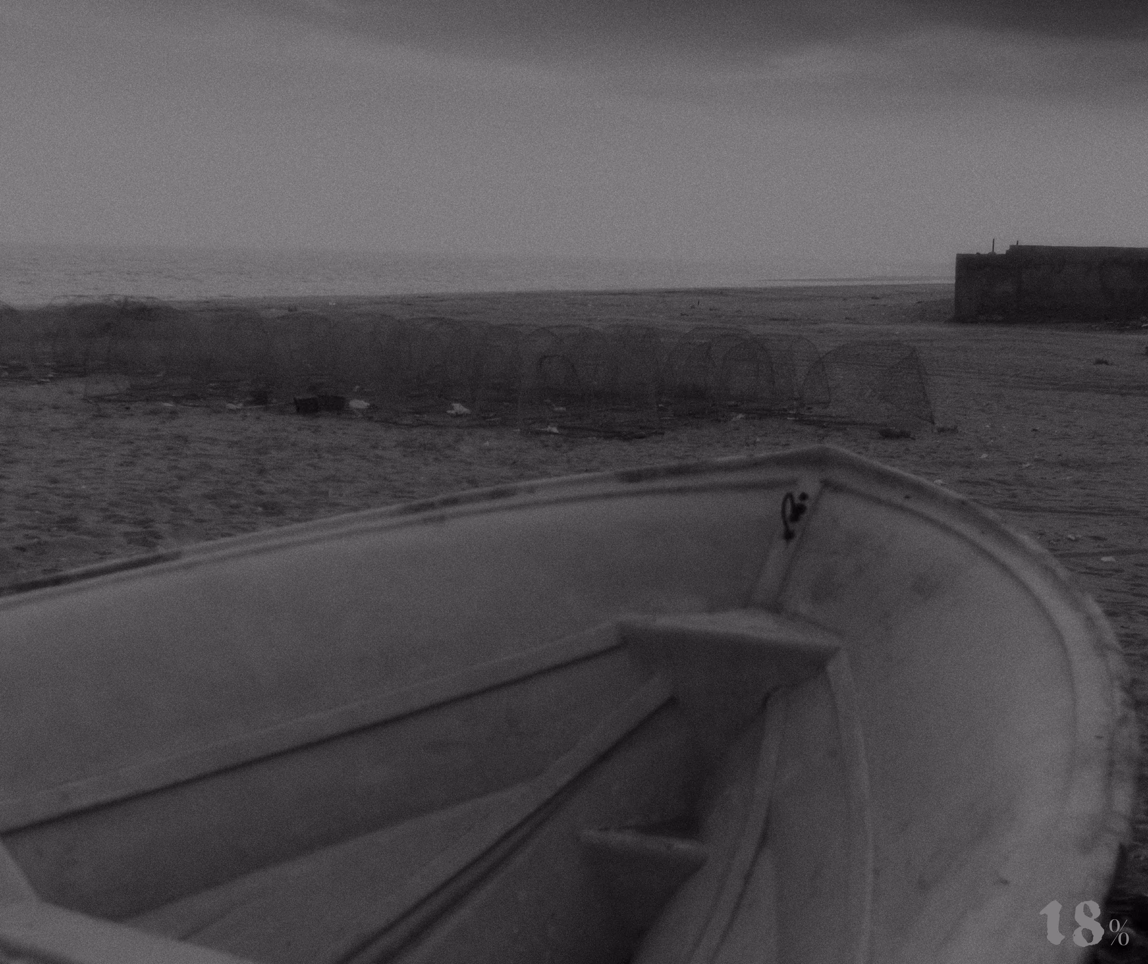 Scenes from a migration