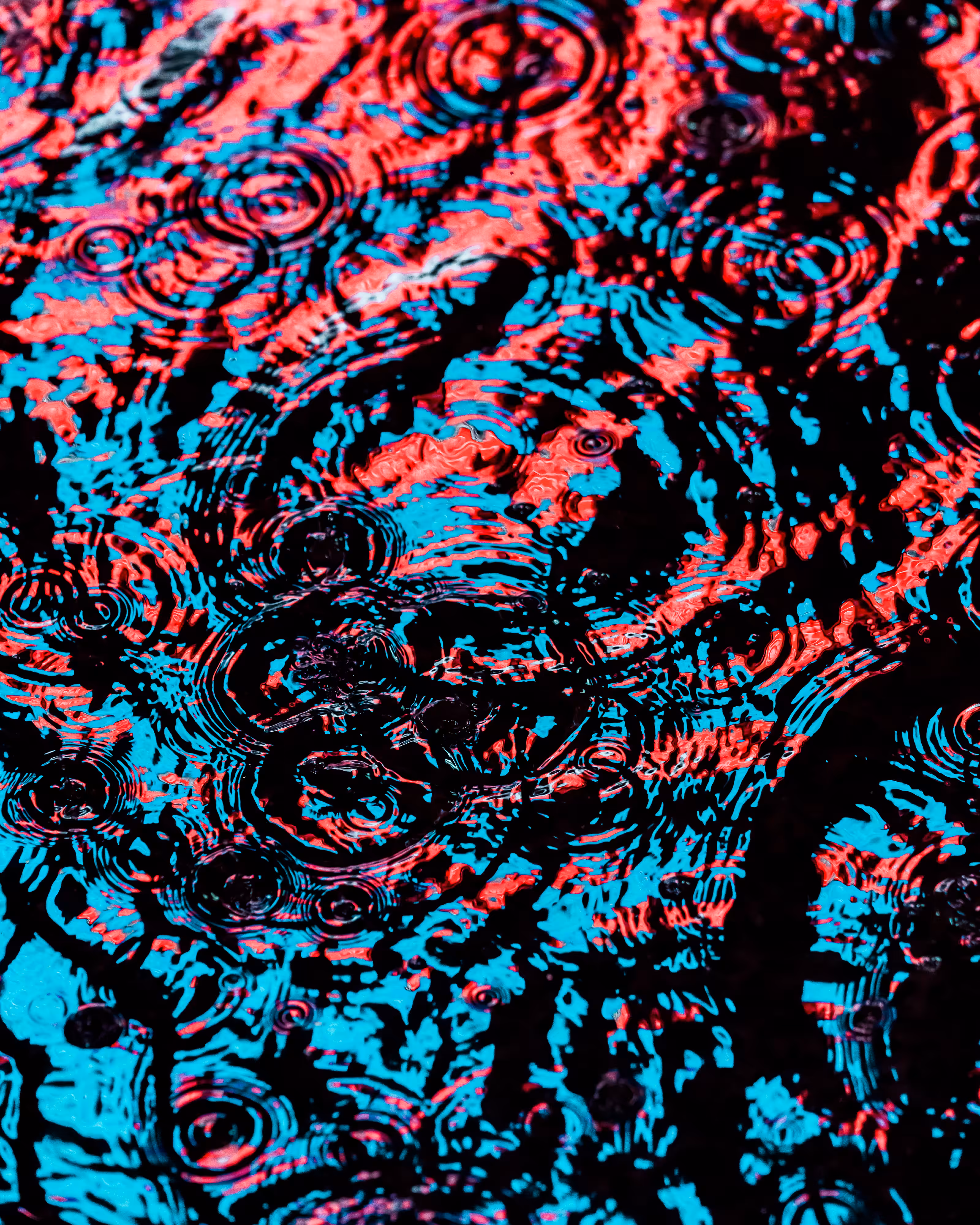 DRIP #497