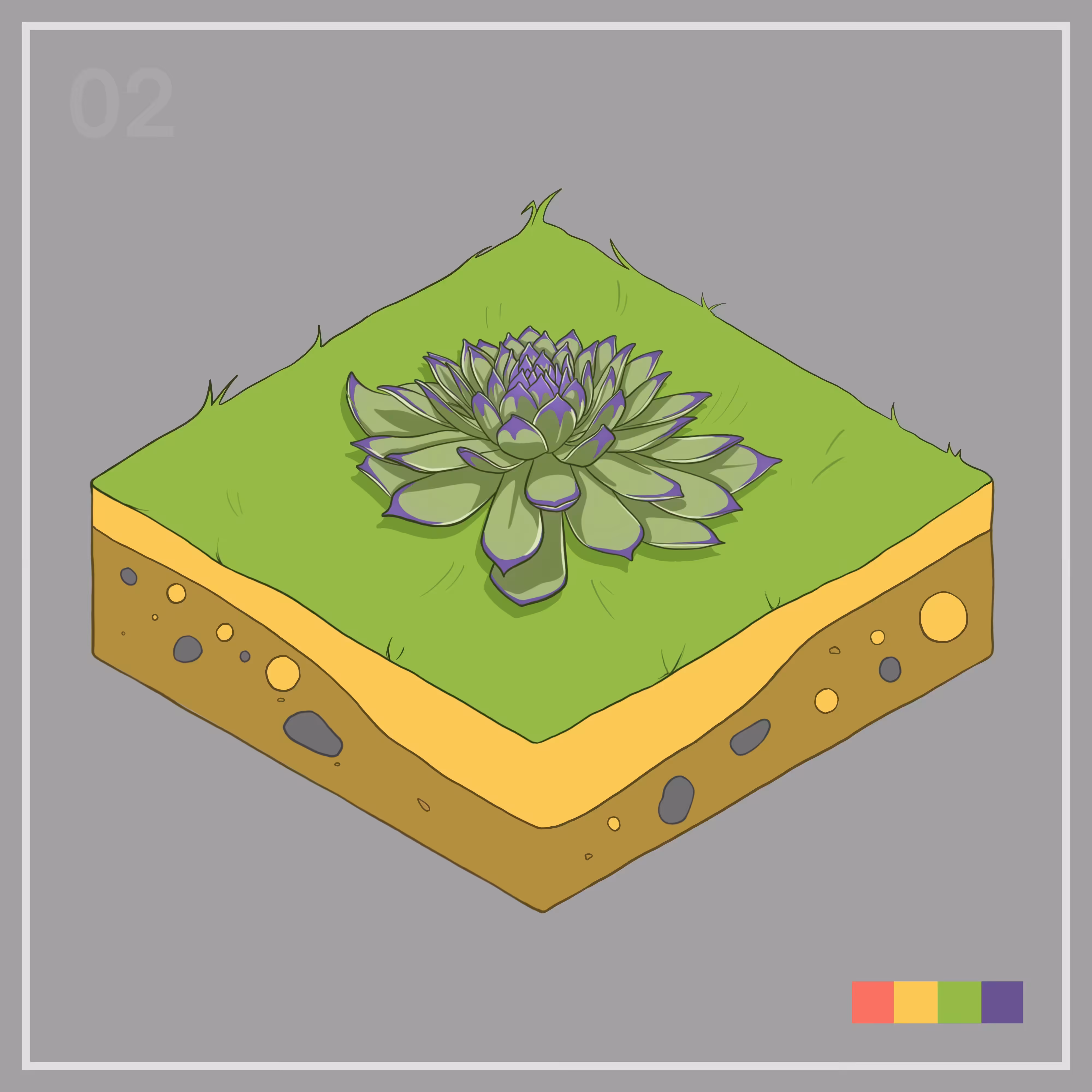 02 — Common houseleek