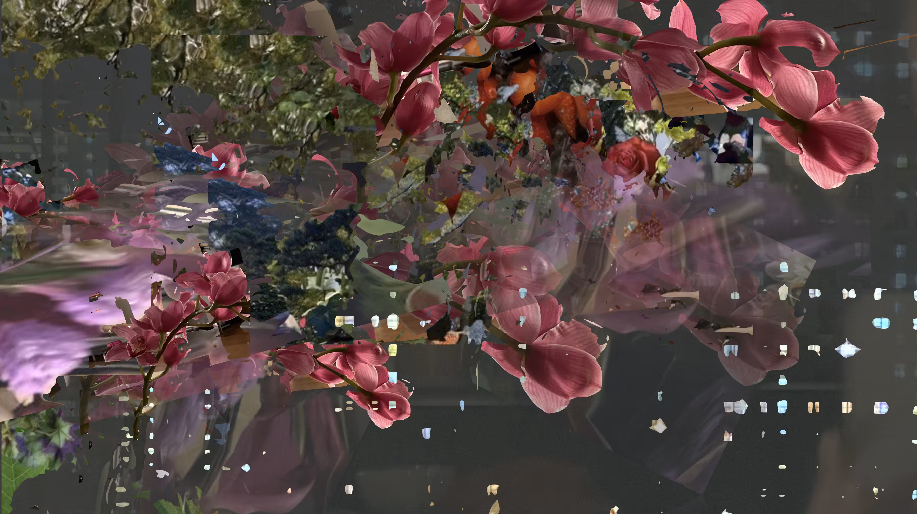 Orchid2World / And AWF
