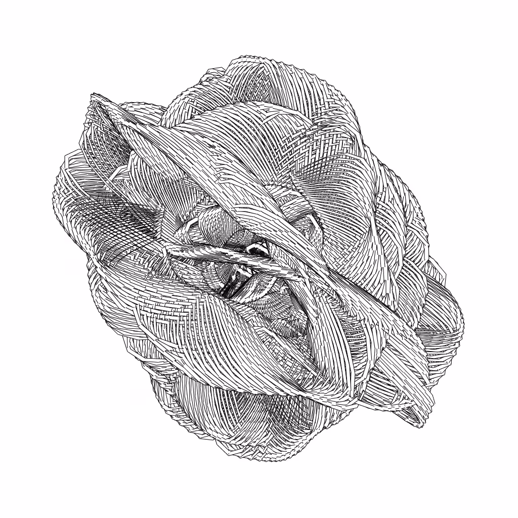 LL21 Entangled (3) #469