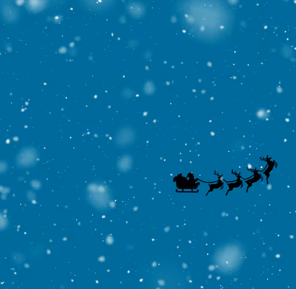 Merry Christmas 2021 #6