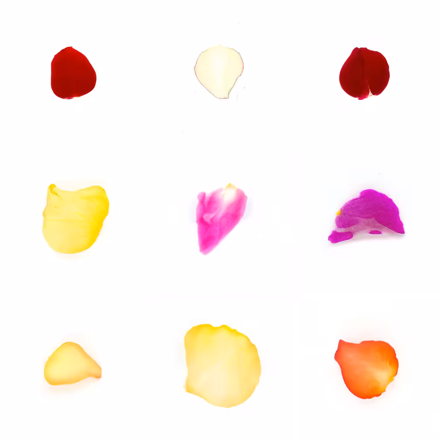 Infinite Petals 3x3#3661
