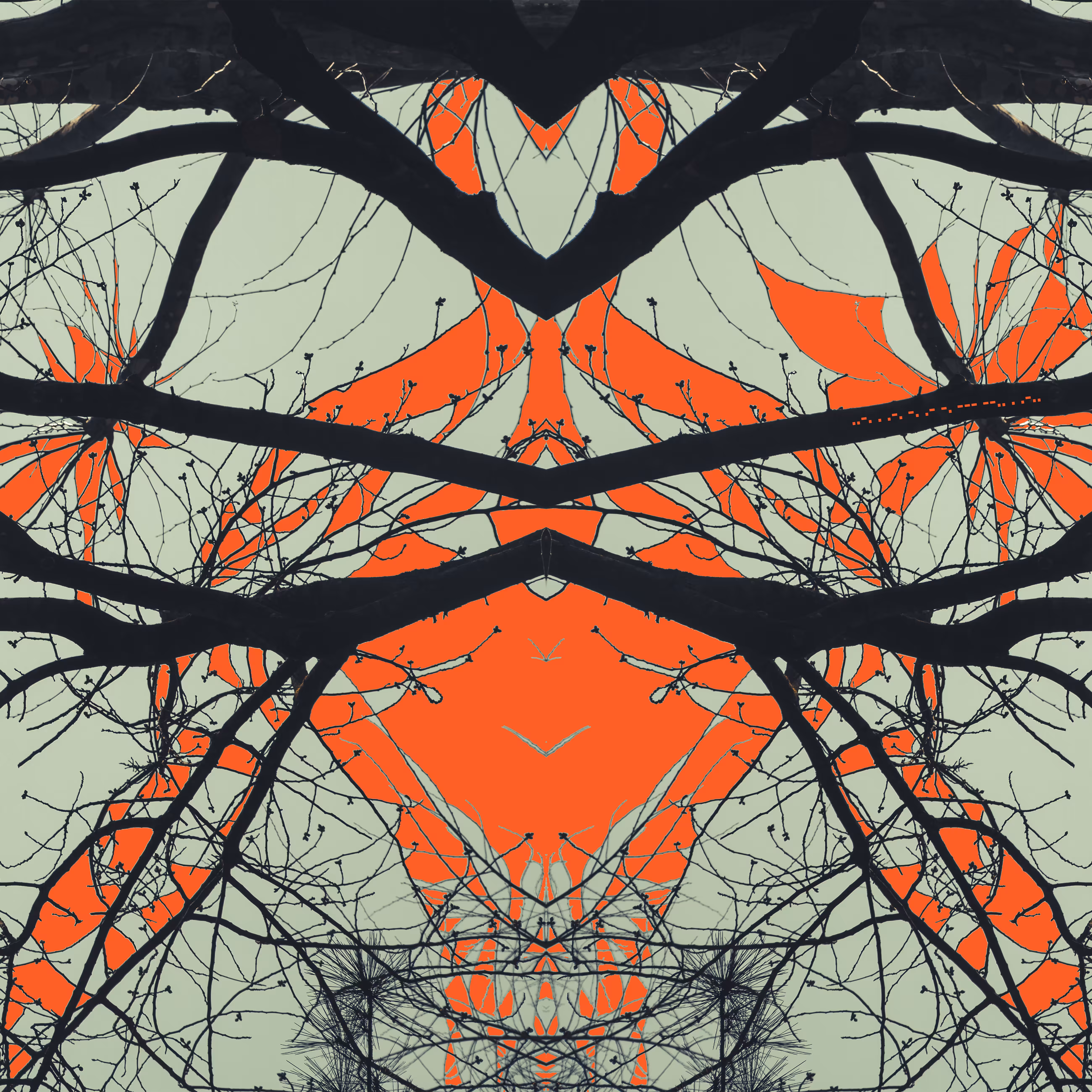 Symmettree No#16