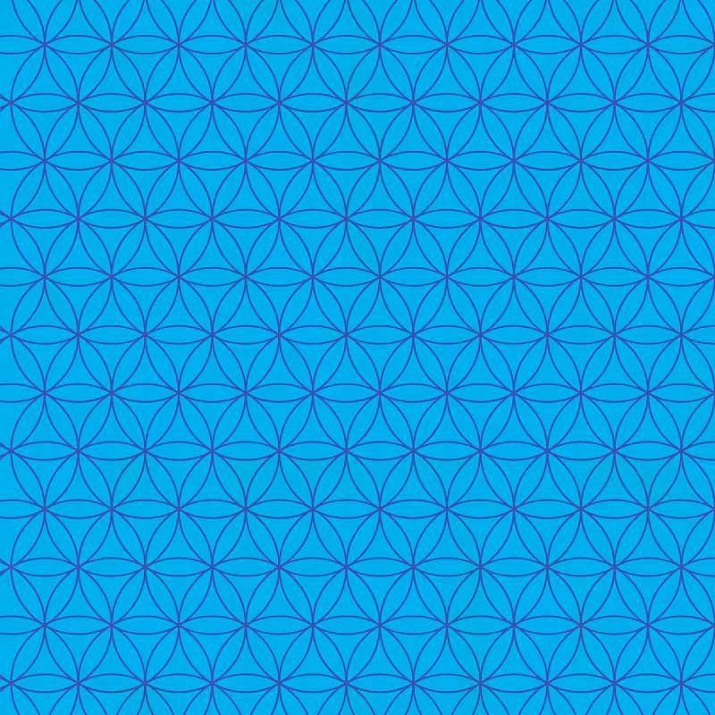 Flower Of Life - Pattern #1