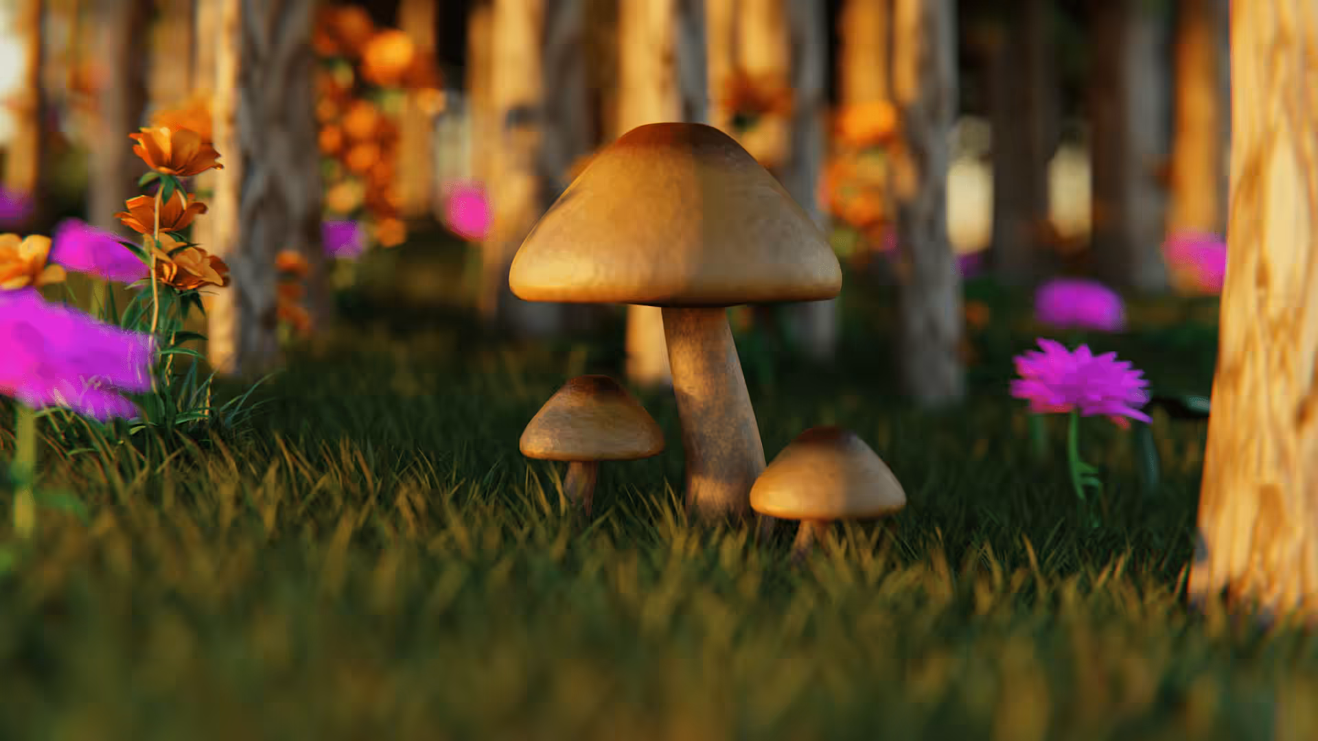 Shroom of the Day