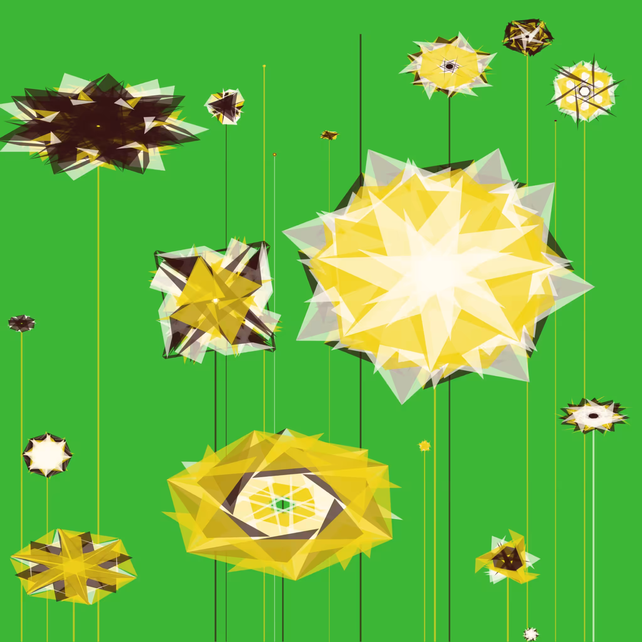 Flower field #2